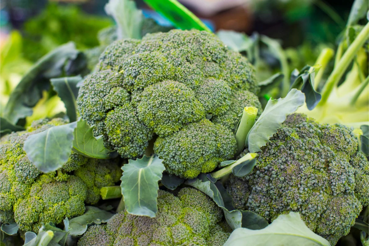 Broccoli Slaw Recipe: Crunchy & Nutritious | Easy Guide