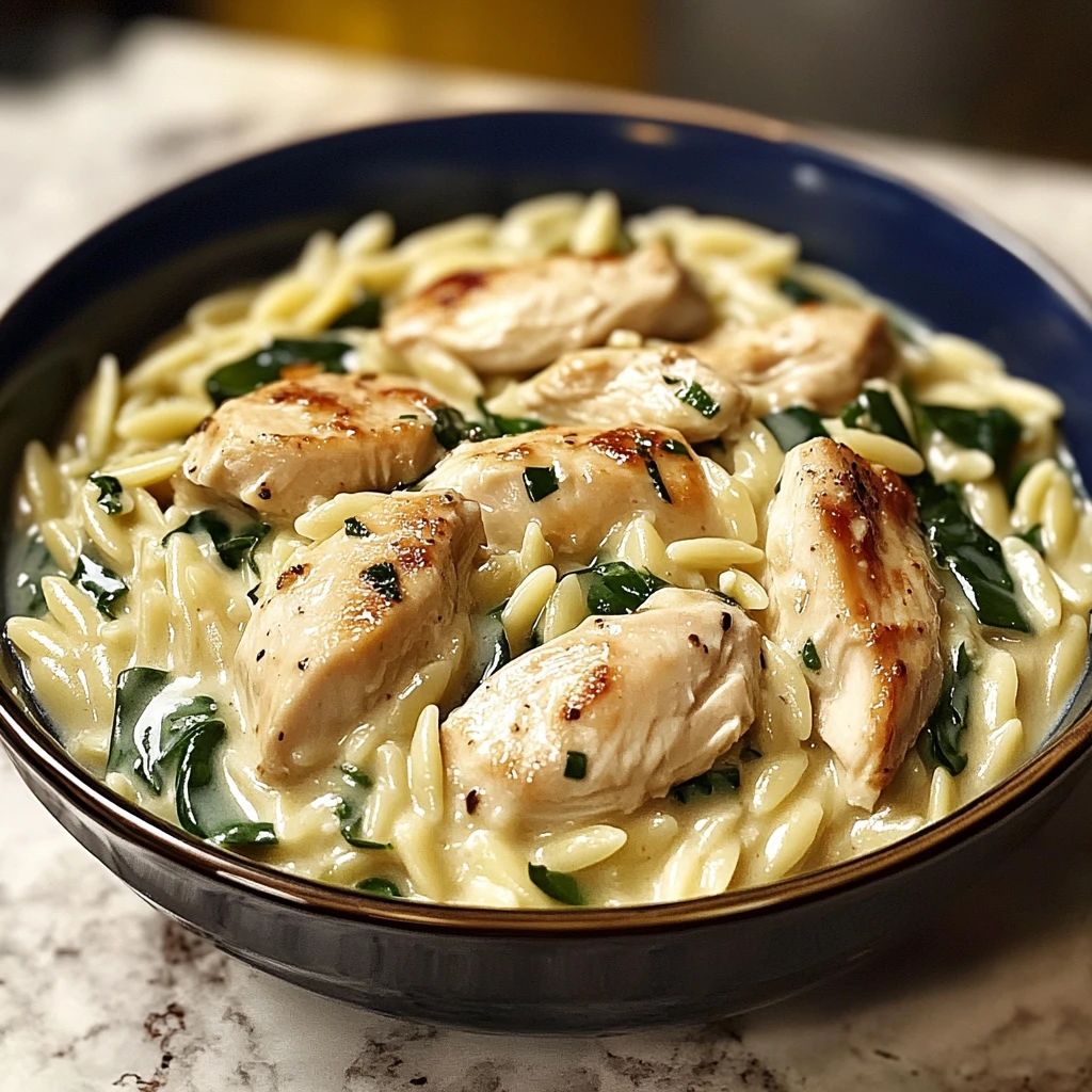 Creamy Boursin Orzo with Chicken: 30 Minutes to Delicious